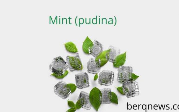 What Happens to Your Body If You Eat Mint Leaves (Pudina) Every Day? 🌿
