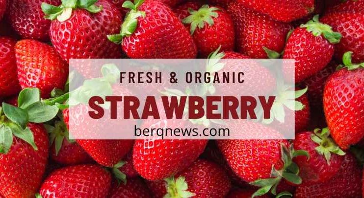 Strawberry Nutrition: What You Need to Know