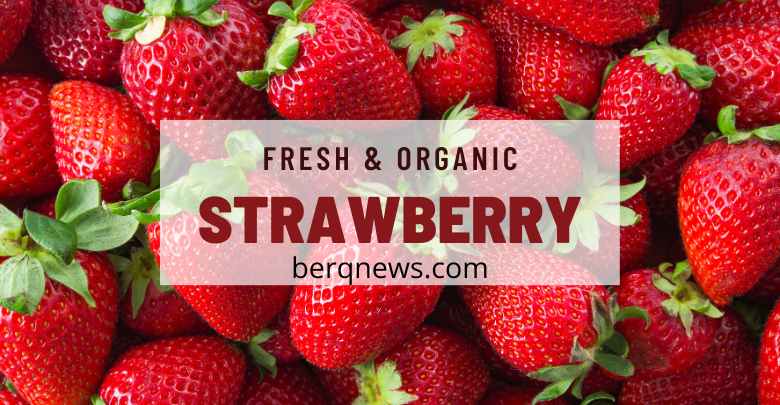 Strawberry Nutrition: What You Need to Know